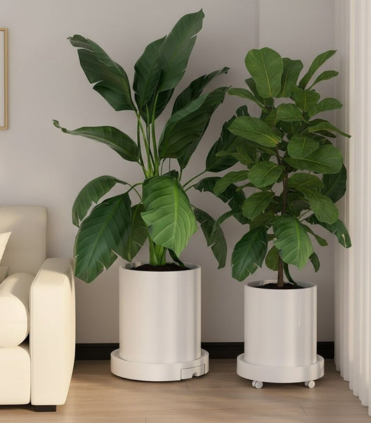 CARLA HOME 2-Pack Rolling Plant Stand with 360Β° Wheels for Indoor Pots (26 cm)