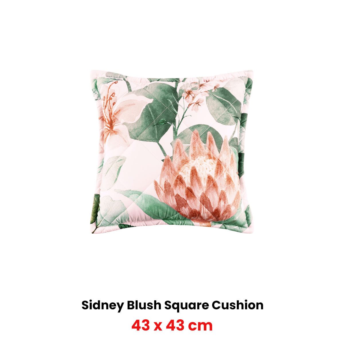 Bianca Sidney Blush Coordinate Square Filled Cushion 43 x 43cm