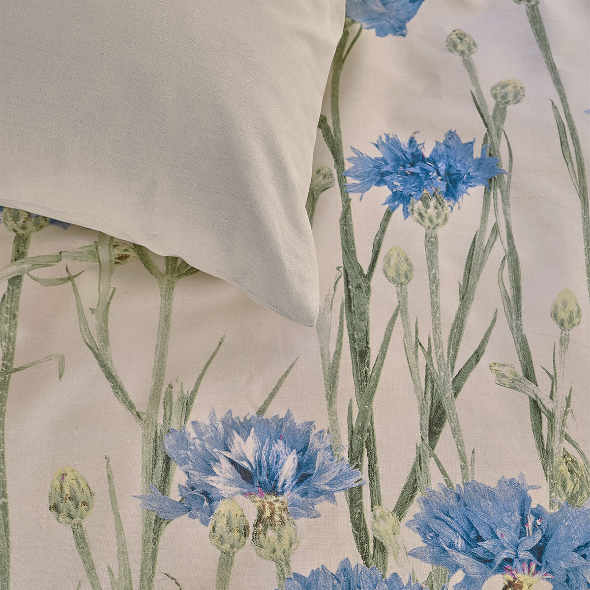Bedding House Cornflower Sand 100% Cotton Percale Quilt Cover Set King