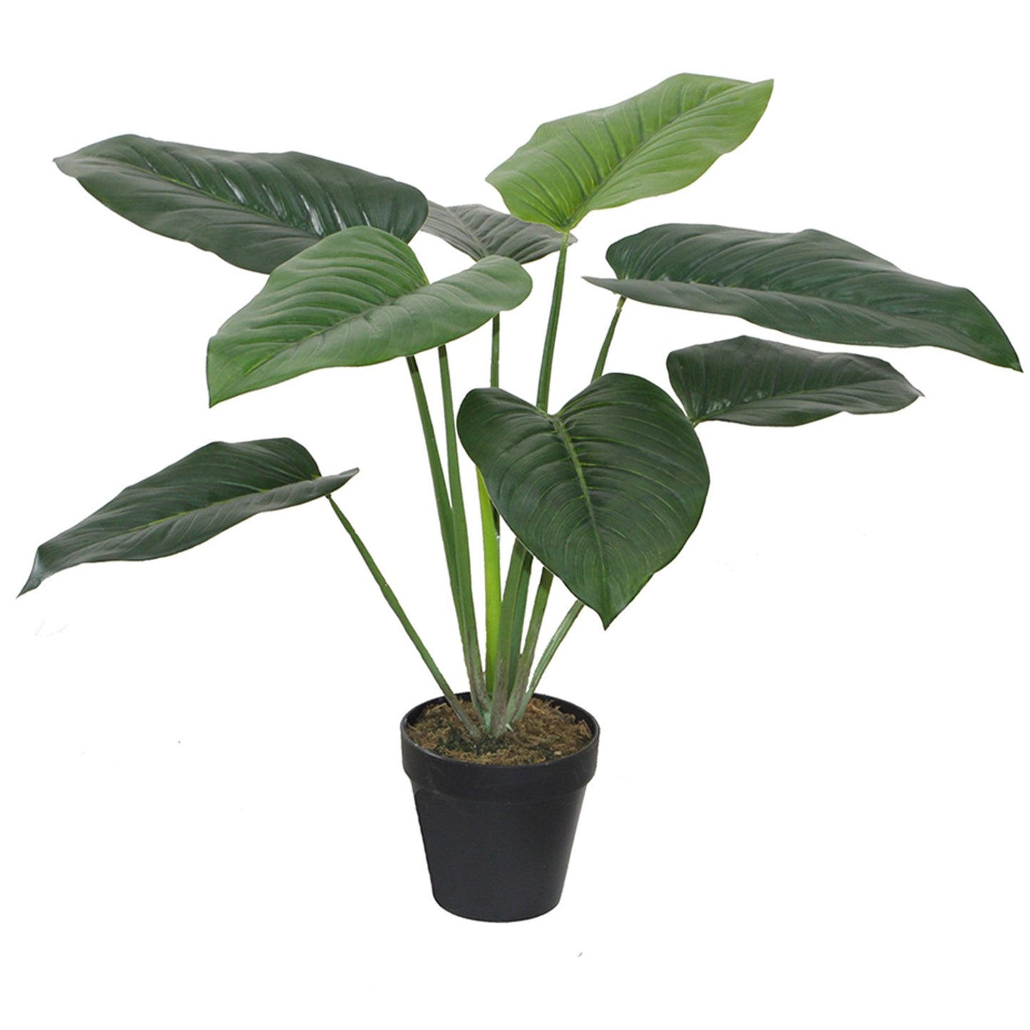 Artificial Philodendron In Plastic Pot 30x60cm