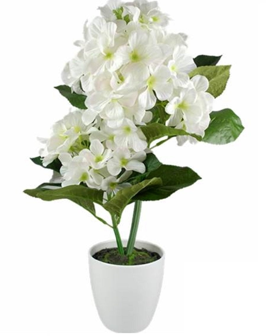 Artificial White Hydranger in White Plastic Pot 10x46cm