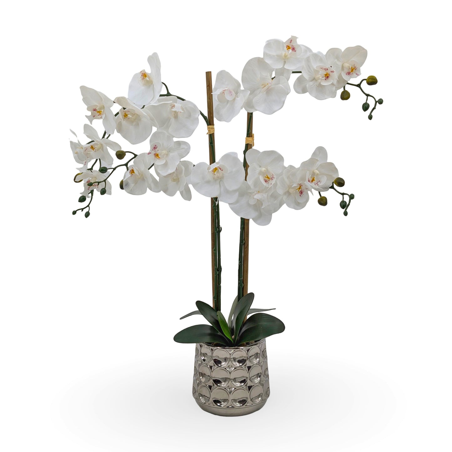 Artificial Orchids in Chrome Pot 71cm