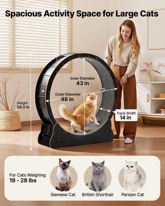 Cat Exercise Wheel 120cm Wooden Running Wheel Indoor Cats 12.7kg