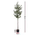 Artiss 180cm Artificial Olive Tree Faux Indoor Plant Lifelike Decor