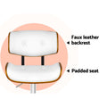 Artiss Bar Stools 2 Piece Gas Lift White Leather