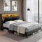 Artiss Queen Bed Frame LED Storage Headboard Charging Black