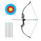 Everfit 55lbs Recurve Bow Arrow Set Takedown Hunting Archery Green