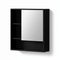 Cefito 560mm Bathroom Mirror Cabinet Black Wall Mounted Shelf