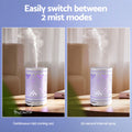 Devanti Ultrasonic Aroma Diffuser 100ml LED Humidifier Iron