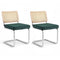 Artiss Dining Chairs Set of 2 Velvet Rattan Green