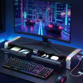Artiss RGB Monitor Stand USB Hub Desk Organiser Charging Black