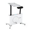 Everfit Exercise Bike Magnetic Desk Bike with Tabletop Fitness Home Workout Gym