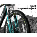 Phoenix 27.5