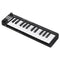 Alpha 25-Key MIDI Keyboard Controller USB Portable Black