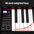 Alpha 88 Key Digital Piano Keyboard w/ Stand