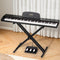 Alpha 88 Key Digital Piano Keyboard w/ Stand