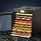 Devanti 10 Tray Food Dehydrator Stainless Steel