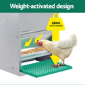 Giantz Automatic Chicken Feeder Treadle Self Opening Poultry