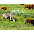 Giantz Electric Fence Poly Tape 2000M Roll