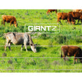 Giantz Electric Fence Poly Wire 2000m Roll