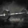 Everfit 28kg Barbell Set Weight Plates Bar Bench 168cm