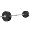 Everfit 48kg Barbell Set Weight Plates Bar Bench 168cm