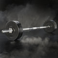 Everfit 48kg Barbell Set Weight Plates Bar Bench 168cm