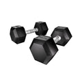 Everfit 20kg Hex Dumbbells Set 2x10kg Weights Gym Lifting