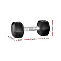 Everfit 20kg Hex Dumbbells Set 2x10kg Weights Gym Lifting