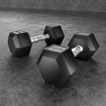 Everfit 20kg Hex Dumbbells Set 2x10kg Weights Gym Lifting