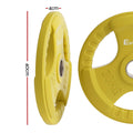 Everfit Olympic Weight Plates 20kg Dumbbell Barbell Yellow Home Gym