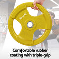 Everfit Olympic Weight Plates 20kg x2 Dumbbell Barbell Yellow