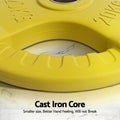 Everfit Olympic Weight Plates 20kg x2 Dumbbell Barbell Yellow