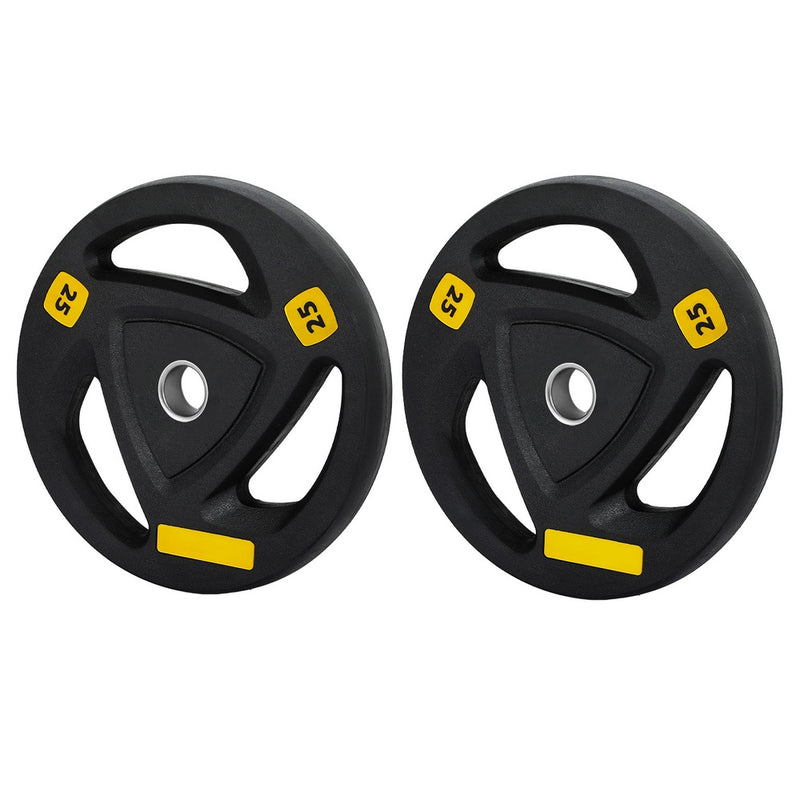 Everfit Weight Plates 25kg x2 Standard Dumbbells Barbells Home Gym