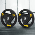 Everfit Weight Plates 25kg x2 Standard Dumbbells Barbells Home Gym