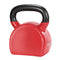 Everfit 24kg Kettlebell Home Gym Weight Training Equipment
