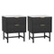 Artiss Bedside Table 2 Drawer Black Pair 2x