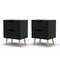 Artiss Bedside Table 2 Drawers Black 2 Pack