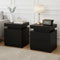Artiss Bedside Table 2 Drawers Lift-up Storage Black
