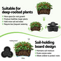 Green Fingers 5 Tier Vertical Garden Planter with Wheels Black