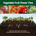 Green Fingers Raised Garden Bed 2PC 210x90cm Galvanised Metal