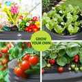 Green Fingers Raised Garden Bed 90x45cm Galvanised Steel Planter