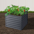 Green Fingers Raised Garden Bed 100x100x77cm Galvanised Steel