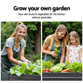 Green Fingers Raised Garden Bed 100x100x77cm Galvanised Steel
