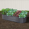 Green Fingers Garden Bed 160x80x42cm Oval Galvanised Planter