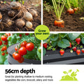 Green Fingers Raised Garden Bed 240cm Oval Galvanised Steel Planter