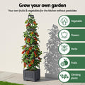 Green Fingers Self Watering Planter Trellis 4 Layer 140cm Tomato Box