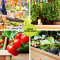 Green Fingers Raised Garden Bed 120x60x80cm Wooden Planter Box