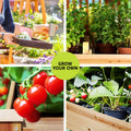 Green Fingers 120x60x80cm Raised Garden Bed Wooden Planter Box