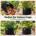 Green Fingers 20 Gallon Grow Bags 300gsm thick Aeration Fabric Pots 10 Pack